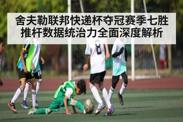 舍夫勒联邦快递杯夺冠赛季七胜推杆数据统治力全面深度解析